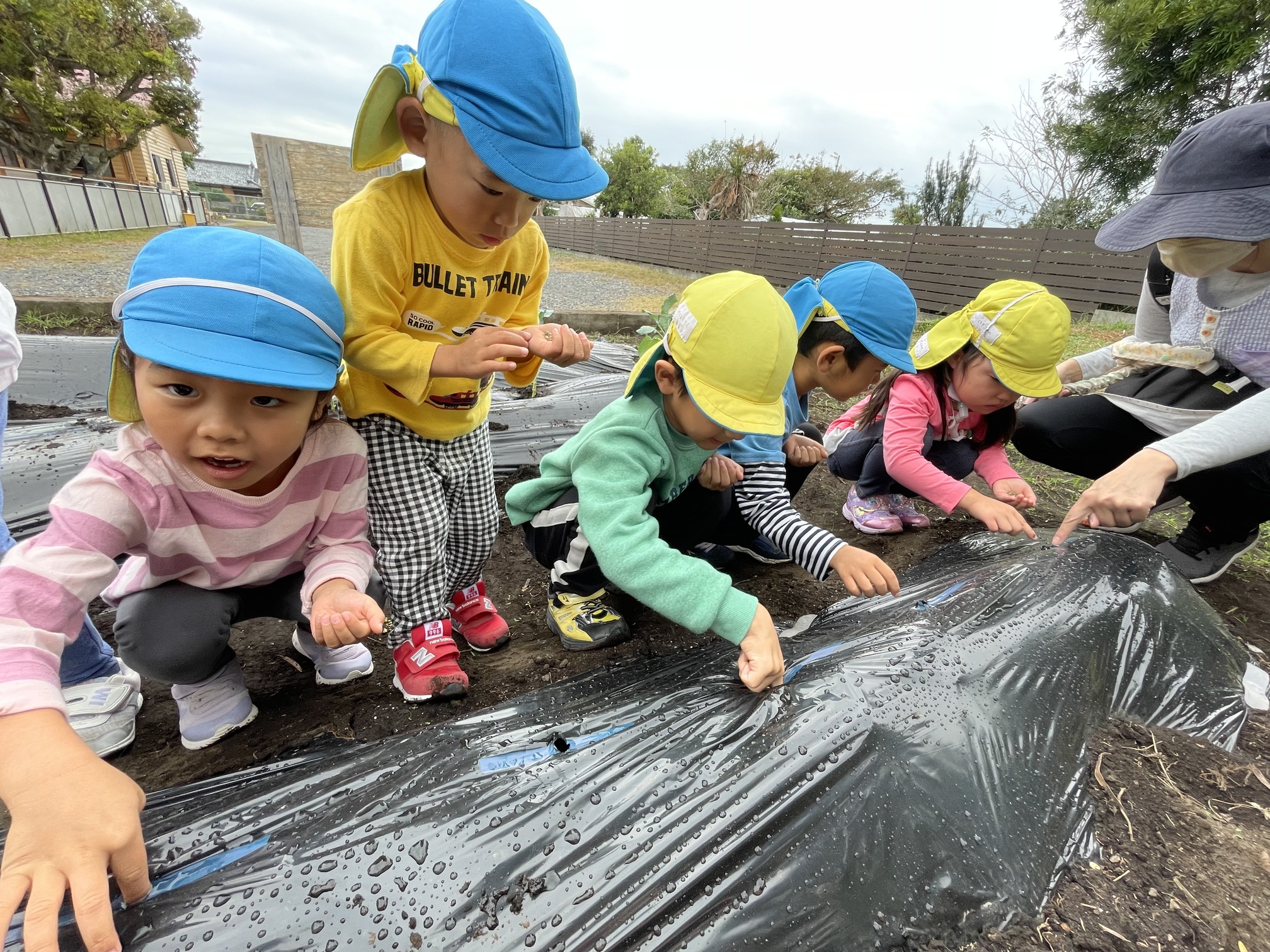 2022年11月 おいしくなってね！