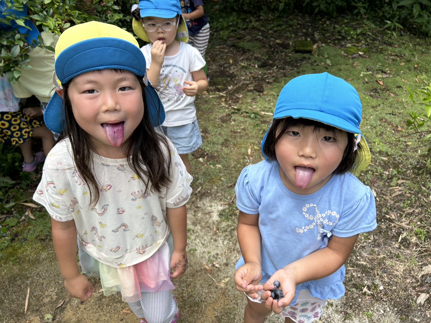 2024年7月 ブルーベリー美味しい